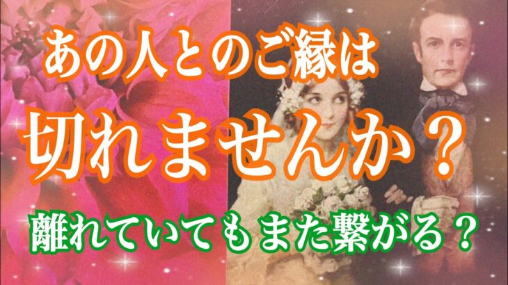 個人鑑定級🧡恋愛タロット🧡あの人とあなたのご縁は切れませんか？✨離れているお相手の気持ち✨【タロット＆オラクル】複雑恋愛・疎遠・音信不通・復縁・ツインレイ