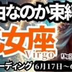 【乙女座/Virgo】♍️2024年6月17日の週♍️問い直す私の未来😂自由か束縛か‼️どっちが私らしいか😊タロットリーディング🍀