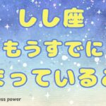 【獅子座】既に新しい居場所は用意されています❗️＃タロット、＃オラクルカード、＃当たる、＃運勢、＃占い