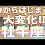 牡牛座♉️大変化が始まります‼︎‼︎〜見た時がタイミング〜Timeless reading〜タロット&オラクルカードリーディング〜潜在意識