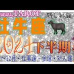 牡牛座♉️さん【2024年下半期の運勢🌈7月〜12月・仕事運・金運・対人運】出会と別れ、必要なものはやって来る💖#2024 #タロット占い #星座別