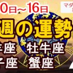 【今週の運勢6月10日から16日】牡羊座 牡牛座 双子座 蟹座