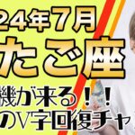 ふたご座 7月の運勢♊️ / 大転機が来る！めっちゃ良い方に向かってる！！強力な浄化と素晴らしい救いの力が働く【トートタロット & 西洋占星術】