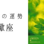 【 蠍座 】6月の運勢　鳥肌が止まらないストーリー展開に🥹ここから蠍座さんの本領が発揮されていきます！2024年タロット占い