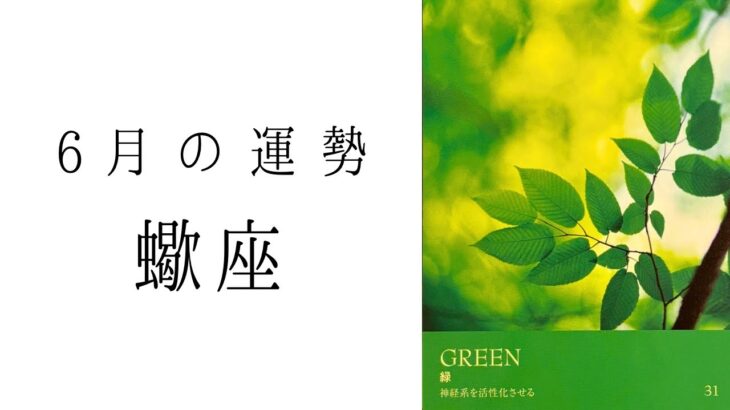 【 蠍座 】6月の運勢　鳥肌が止まらないストーリー展開に🥹ここから蠍座さんの本領が発揮されていきます！2024年タロット占い