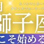 2024年8月【獅子座】起こること～今こそ始める時～【恐ろしいほど当たるルノルマンカードリーディング＆アストロダイス】