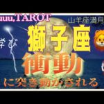 獅子座♌️さん【山羊座満月🌕〜あなたに起きる衝動とは⁉️】自分の出来る力で助ける💪#2024 #タロット占い #星座別