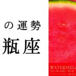 【水瓶座💐7月の運勢】全みずがめ座にエールよ届け📣✨今めちゃくちゃ重要な時です🥹2024年下半期タロット占い