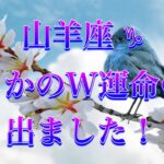 【山羊座♑️】やることが次々うまくいく！リラックスを心がけて🌼潜在意識をリアルに活かすタロットリーディング✨