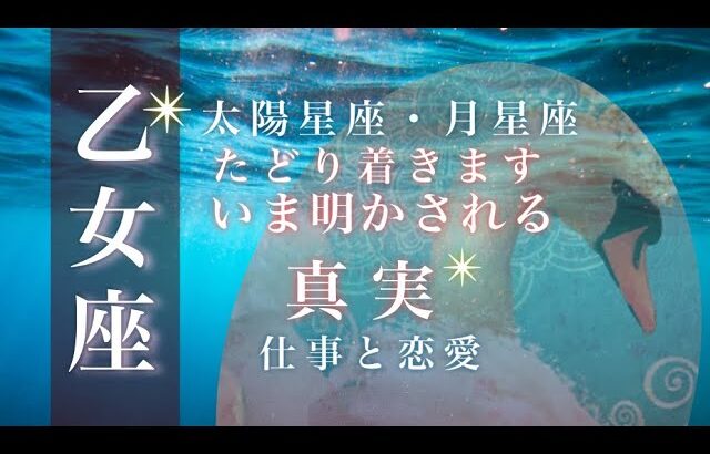 ♍️乙女座🌙8/1~8/31🌟突然の変化は最大のチャンス 守られている実感 万全の体制を整える🌟しあわせになる力を引きだすタロットセラピー