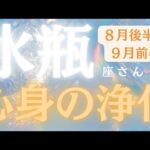 水瓶座さん8月後半〜9月前半運勢♒️心身の浄化🫧願望成就🫶感情が動く💕ライオンズゲート✨仕事運🌈恋愛運💫金運【#占い #みずがめ座 #当たる】