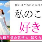 結論からハッキリ出します！LOVEも辛口も覚悟で🩷私のこと好き？🐋【忖度一切なし♦︎有料鑑定級】