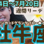 ❤️🕊️【おうし座♉さん】🌱《7月14日～7月20日》週間リーディング🌱2024年星座別リーディング✨♠ルノルマンカードグランタブロー♠タロットカード・オラクルカードでもみていきましょう🔮💫牡牛座運勢