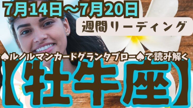 ❤️🕊️【おうし座♉さん】🌱《7月14日～7月20日》週間リーディング🌱2024年星座別リーディング✨♠ルノルマンカードグランタブロー♠タロットカード・オラクルカードでもみていきましょう🔮💫牡牛座運勢