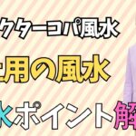 【土用の風水】さんかんと龍 楕円深皿でカレーを食べよう！