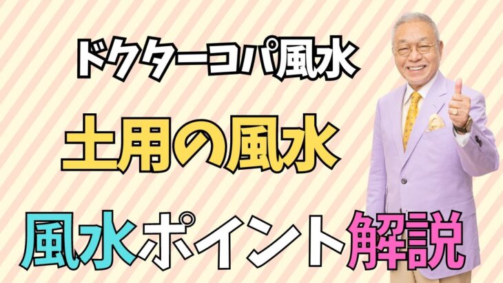 【土用の風水】さんかんと龍 楕円深皿でカレーを食べよう！