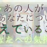 今あの人があなたについて考えていること、あなたへの気持ち 【恋愛・タロット・オラクル・占い】