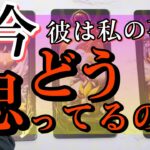 【少し辛口もありで正直にお伝えします】今、彼はどう思ってる？【恋愛タロット占い】魅力特徴相性から貴方様が彼にとってどんな存在か今どう思ってるのかを徹底解明❤️男目線のアドバイスさせて頂きます！