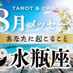 【水瓶座♒️8月運勢／ライオンズゲート】鳥肌級の展開💫超重要なテーマが来ています✨タロット＆オラクルカードリーディング