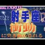 射手座♐️さん【山羊座満月🌕〜あなたに起きる衝動とは⁉️】不安よりも楽しみの方が強くなる💓#2024 #タロット占い #星座別