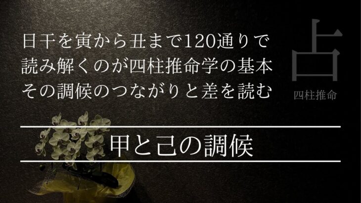 甲と己がどの季節の五行が巡れば開運するの？