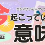 魚座♓️今あなたに起こっていることの意味💖そしてどんな未来になるのか？をコンパクトに占います😃🙌🌈🐼見た時がタイミング✨