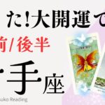 射手座8月【大開運】の運勢来ました❗️焦らなくても大丈夫、幸運はすぐそこ❗️前半後半仕事恋愛人間関係♐️【脱力系タロット占い】