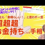 【手相占い】コメントの手相に再びビックリ！「素晴らしい！」と思わず一言口からでて、手相スクールでないと話せないことまで話してしまいました【手相家　西谷泰人　ニシタニショーVol.186】