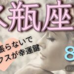 水瓶座♒️ 【2024年8月】あなたは十分頑張った👍この夏は肩の力を抜いて✨楽しく過ごして🌻