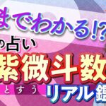 【公開鑑定】あきこ先生による「紫微斗数」鑑定がスゴすぎた！