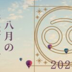 【蟹座さん♈︎】2024年8月の星座リーディング🌷🫧