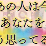 あの人はあなたのことをどう思ってる？🦄💖個人鑑定級深掘り タロット🌞🌈