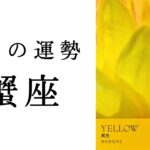 【蟹座💐7月の運勢】とんでもないことが起こっています😳GOサインがめちゃくちゃ来てる❤️‍🔥2024年タロット占い