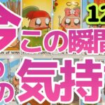 【⚠️絶対見て】忖度無しでカードを引いたら信じられない結果が出てしまいました……どんな関係の方も見れます。今この瞬間のあの人の気持ち。覗いてみますか？