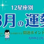 【12星座別】2024年8月の運勢〜たけのここだけのハナシ〜