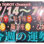 何が起きる⁉️【7/14〜7/20週間リーディング】牡羊座♈️牡牛座♉️双子座♊️蟹座♋️獅子座♌️乙女座♍️#2024 #タロット占い #星座別