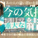 【結果はっきり言うけど覚悟ある？】ちょっと待って！あの人の真意はそこじゃない！相手の気持ち✨伝えきれなかった本当の理由【タロット占い 恋愛】片思いno.489