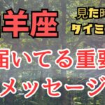 山羊座✨見た時がタイミング🔮今届いてる重要なメッセージ✨✨✨