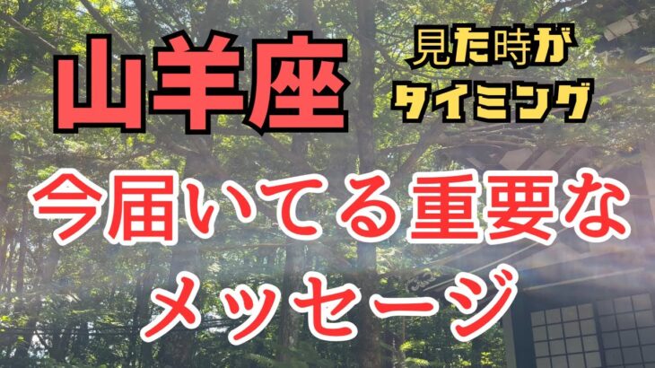 山羊座✨見た時がタイミング🔮今届いてる重要なメッセージ✨✨✨