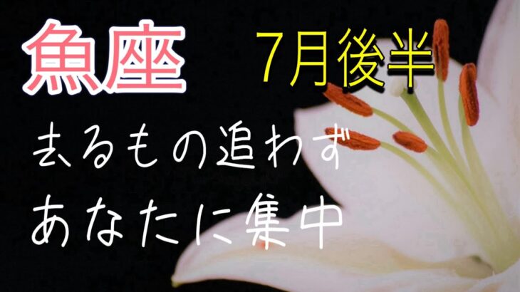 【魚座】　7月後半　トラブル改善の流れ　才能　魅力の開花　基礎基盤作り