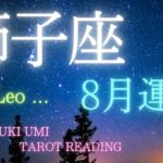 獅子座♌️ 【2024年8月】🌻運気上昇✨すべては良い方向へ！心のモヤモヤ晴れる夏到来✨