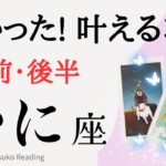 蟹座8月【コツ発見】願望成就❗️明るい未来を取りに行く❗️8月前半後半仕事恋愛人間関係♋️【脱力系タロット占い】