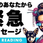 気になった方はご視聴ください🚨✨未来のあなたから緊急メッセージが届いています⚠️【タロット占い】