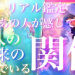 💕リアル鑑定100% 🐋 気になるあの人が今感じている2人の関係、望んでいる関係、未来の関係🦋