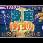 蠍座♏️さん【山羊座満月🌕〜あなたに起きる衝動とは⁉️】状況の改善と生まれる自信🌈#2024 #タロット占い #星座別