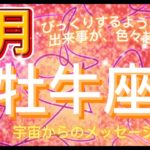 牡牛座8月♉️ びっくりするような嬉しい出来事が色々起きます⭐️宇宙からのメッセージ