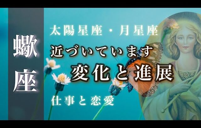 ♏️蠍座🌙7/15~8/15🌟望むものに素直になる 欲しいものは欲しいと言うこと 心の余裕で見きわめる🌟しあわせになる力を引きだすタロットセラピー