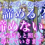 💕一部辛口注意⚠️🐋🎐この恋愛諦める？諦めない？あの人の気持ちと照らし合わせて導きます🦋