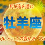 【８月✴︎牡羊座】足を止めて深呼吸🌿✴︎🌙家族に関してのメッセージ💌しっかり境界線を引くことで相手も人も尊重できる時🔥【2024】