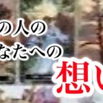 溢れだしそうな想いがありました　七夕リーディング5択　あの人のあなたへの気持ち【恋愛💖タロット】